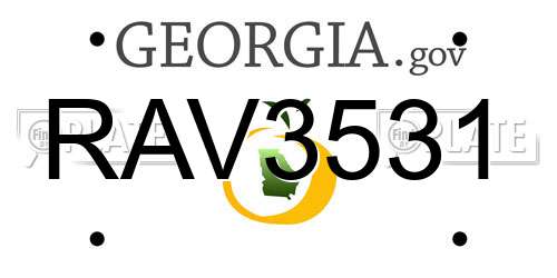 RAV3531 Georgia License Plate