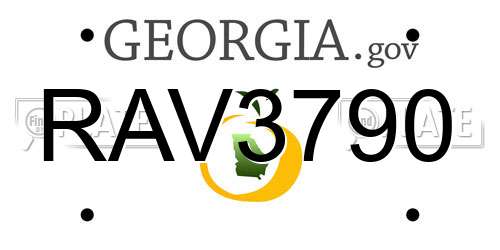 RAV3790 Georgia License Plate