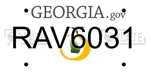 RAV6031 Georgia License Plate