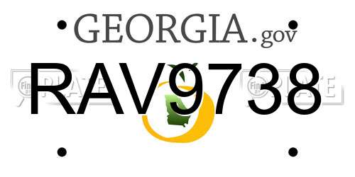 RAV9738 Georgia License Plate