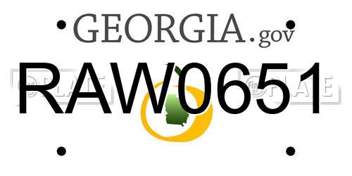 RAW0651 Georgia License Plate