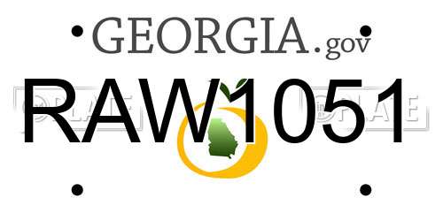 RAW1051 Georgia License Plate