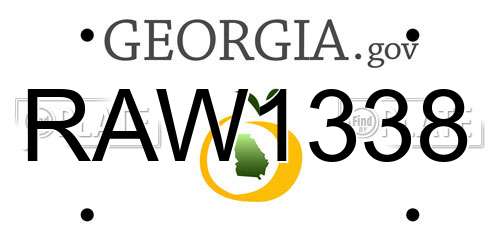 RAW1338 Georgia License Plate