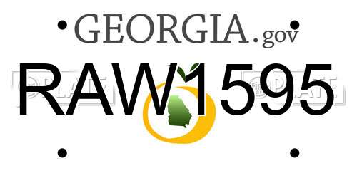 RAW1595 Georgia License Plate