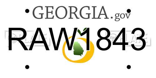 RAW1843 Georgia License Plate