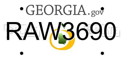 RAW3690 Georgia License Plate