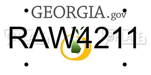 RAW4211 Georgia License Plate