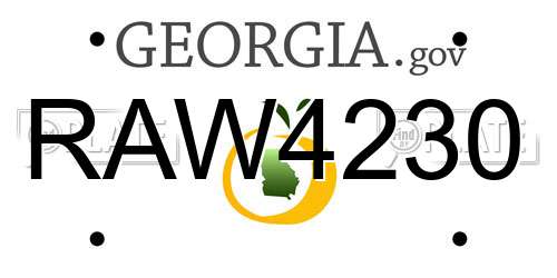 RAW4230 Georgia License Plate