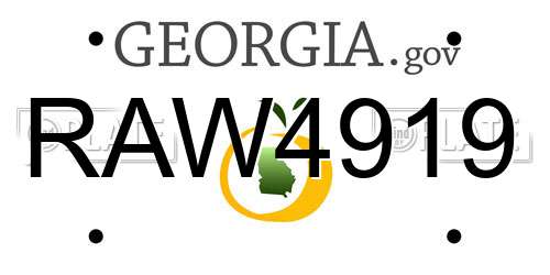 RAW4919 Georgia License Plate