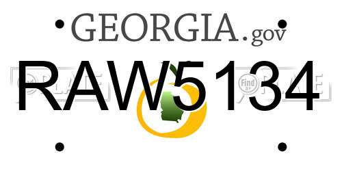 RAW5134 Georgia License Plate