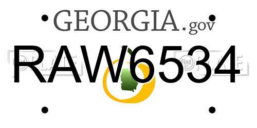 RAW6534 Georgia License Plate