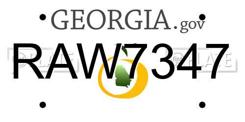 RAW7347 Georgia License Plate