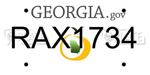 RAX1734 Georgia License Plate