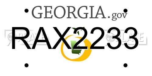 RAX2233 Georgia License Plate