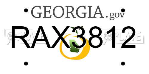 RAX3812 Georgia License Plate