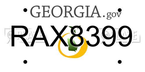 RAX8399 Georgia License Plate