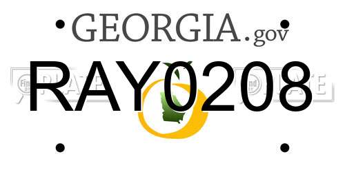 RAY0208 Georgia License Plate