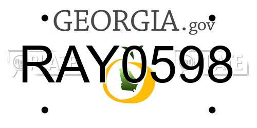 RAY0598 Georgia License Plate
