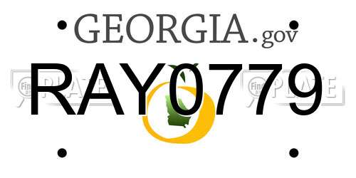 RAY0779 Georgia License Plate