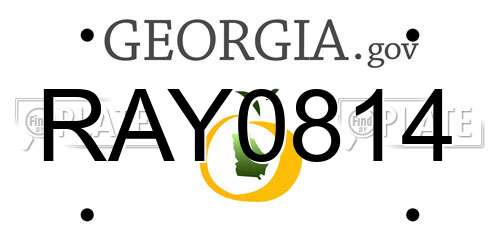 RAY0814 Georgia License Plate