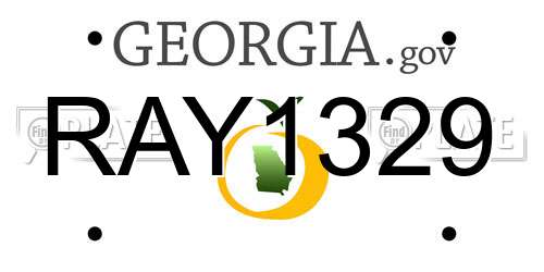 RAY1329 Georgia License Plate