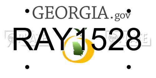 RAY1528 Georgia License Plate