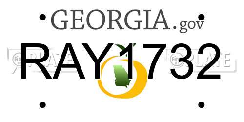RAY1732 Georgia License Plate