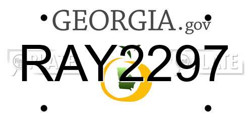 RAY2297 Georgia License Plate