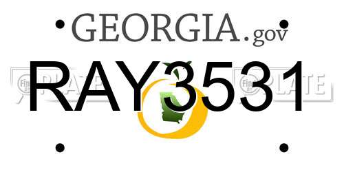 RAY3531 Georgia License Plate