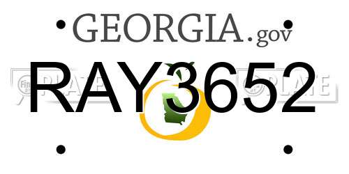RAY3652 Georgia License Plate