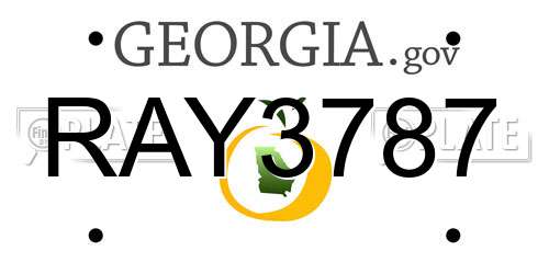 RAY3787 Georgia License Plate
