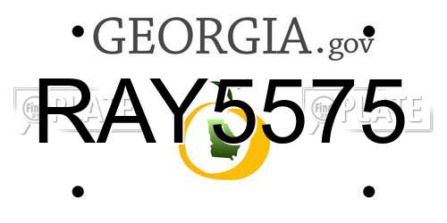 RAY5575 Georgia License Plate