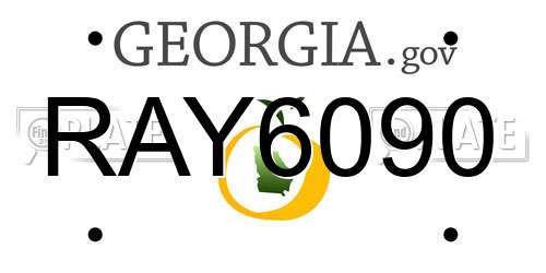 RAY6090 Georgia License Plate