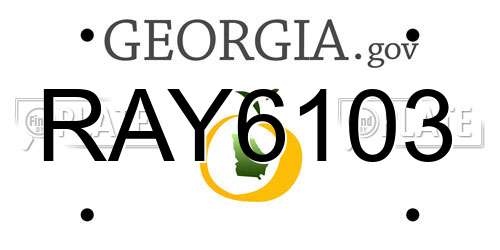 RAY6103 Georgia License Plate