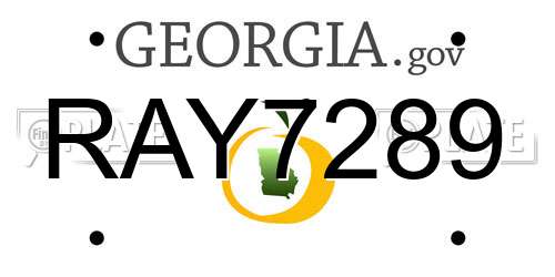 RAY7289 Georgia License Plate