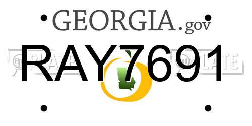 RAY7691 Georgia License Plate