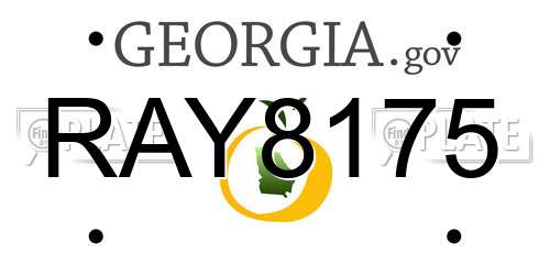 RAY8175 Georgia License Plate