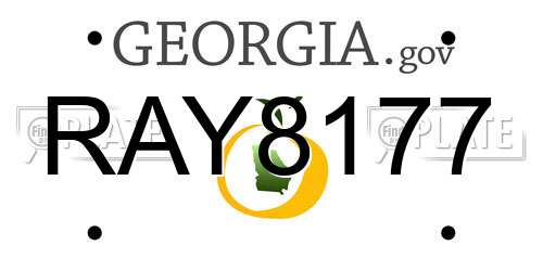 RAY8177 Georgia License Plate
