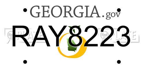 RAY8223 Georgia License Plate