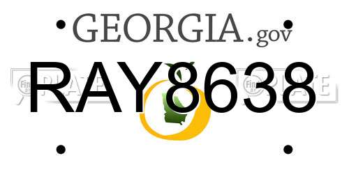 RAY8638 Georgia License Plate