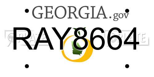 RAY8664 Georgia License Plate