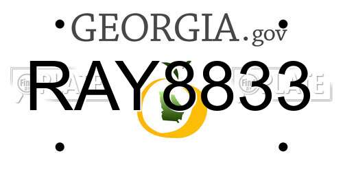 RAY8833 Georgia License Plate