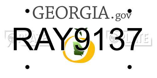 RAY9137 Georgia License Plate