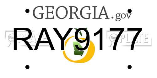 RAY9177 Georgia License Plate