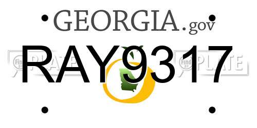 RAY9317 Georgia License Plate