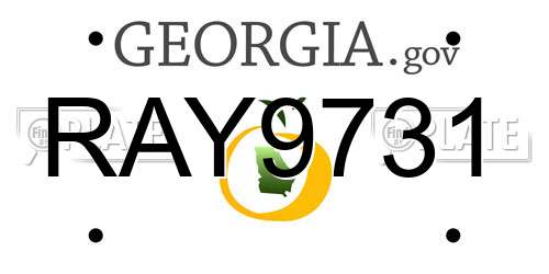 RAY9731 Georgia License Plate
