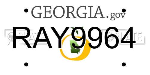 RAY9964 Georgia License Plate