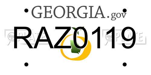 RAZ0119 Georgia License Plate