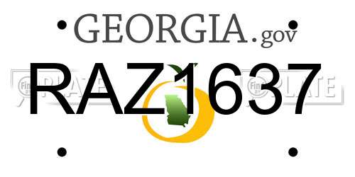 RAZ1637 Georgia License Plate