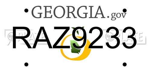RAZ9233 Georgia License Plate